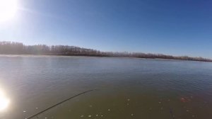 ДА Я СПЛЮ! БЕШЕНЫЙ КЛЕВ СУДАКОВ,ЩУК И КОНЕ-ОКУНЕЙ!Джиг поздней осень