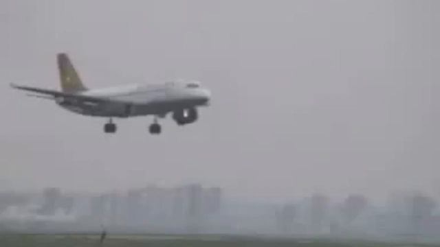 приколы нарезка new 1 смотреть онлайн