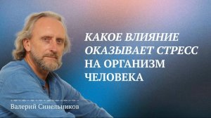 Валерий Синельников | Влияние стресса на здоровье человека | Стресс и здоровье человека