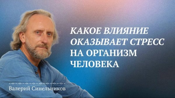 Валерий Синельников | Влияние стресса на здоровье человека | Стресс и здоровье человека