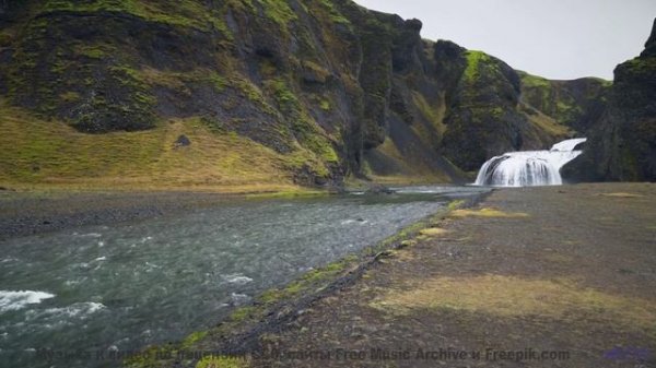 Этот звук - ТВОЙ НОВЫЙ НАРКОТИК! - Wayside -- Renata Zeiguer -- Live at WFMU for Sophisticated Boom