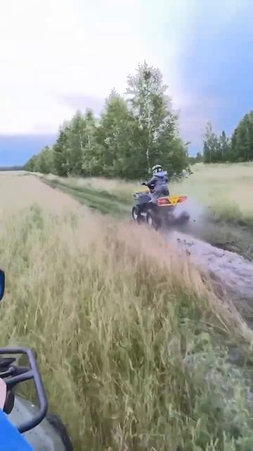 Наши покупатели на прогулке с детьми в выходные)) смотреть онлайн