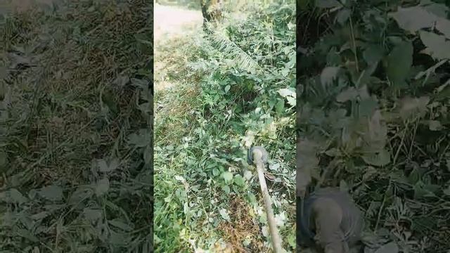 Сегодня у меня шабашка. Кожу штилем 450 леска тройка с ж? смотреть онлайн