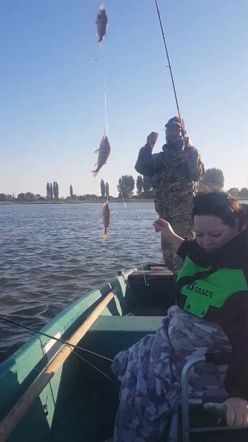 Гирлянда из окуня🎣 активный клёв