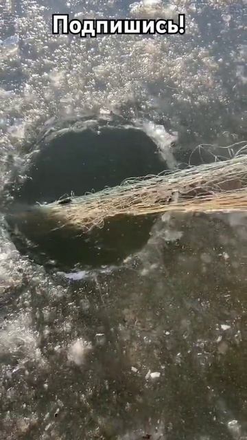 Сети под лёд #рыбалка #рыбалка2024 #рыболов #ловлярыбы #л? смотреть онлайн