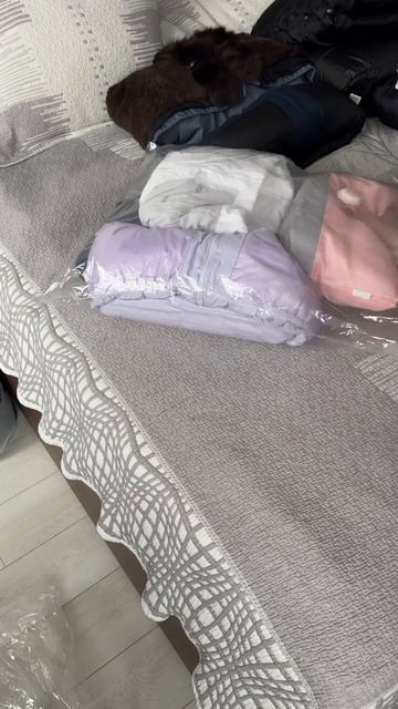 Пылесос HAROOKO VC-D03 синий смотреть онлайн