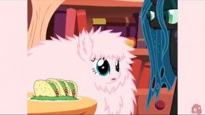 Реакция на флаффи Пафф 10 часть😇🐱