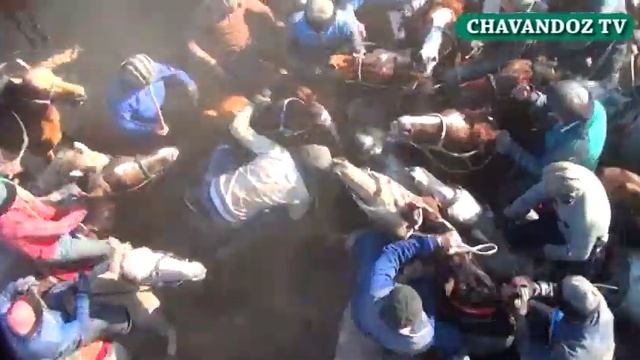БУ ЎША СИЗ ИСТАГАН смотреть онлайн