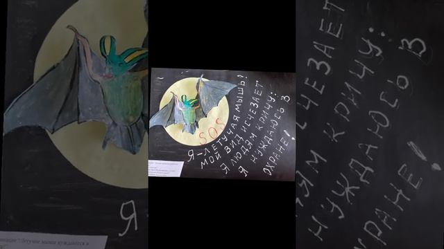 «Жизнь вверх тормашками – это рукокрылые!» смотреть онлайн