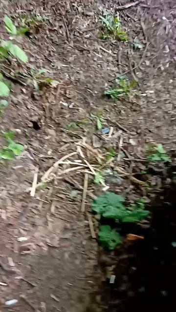 сгоревшая машина