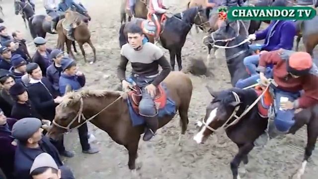 01 12 2019 ГОЙВОТА смотреть онлайн