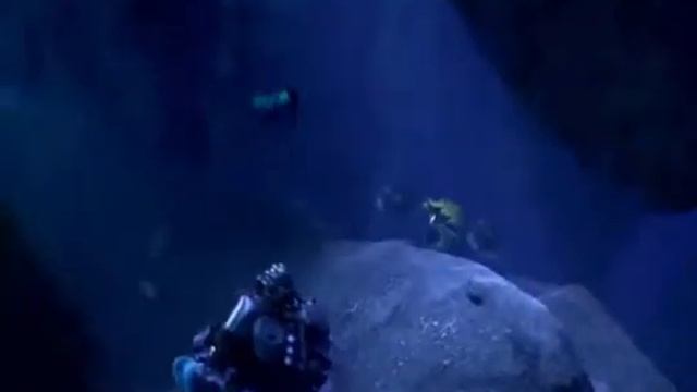 Копия видео "Смешные анимационные мультфильмы!" смотреть онлайн