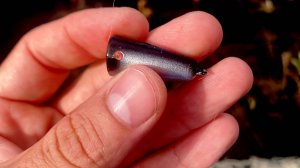 Поплапоппер на городском озере.