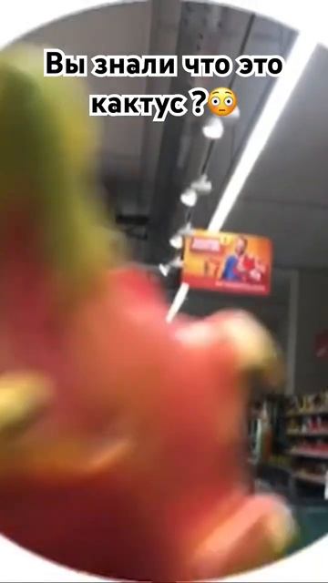 Мы еще и семечки посадили , взошло через два дня))) #мур? смотреть онлайн