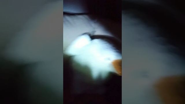 Теперь у меня есть собственный дом! смотреть онлайн