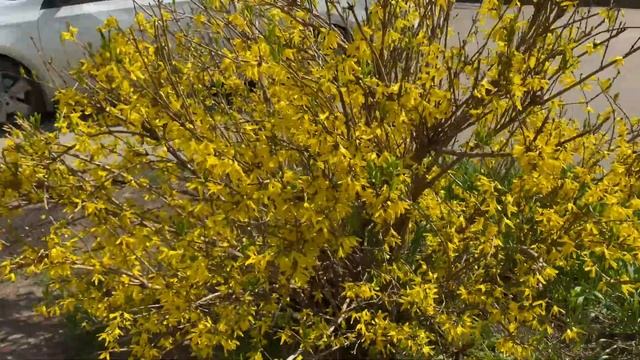 Погуляем по Краснодару. 28. 03.2023 г.