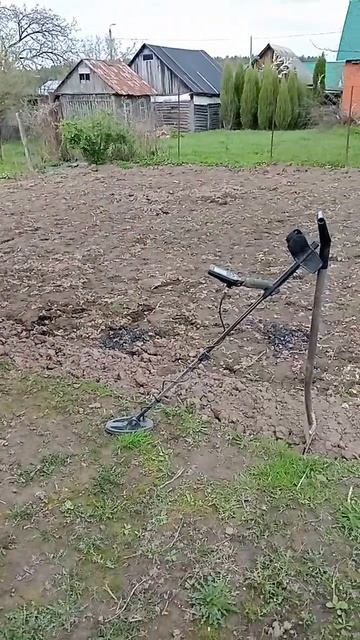 Поиск на огороде #прибор #хобби #тренд #металлоискател? смотреть онлайн