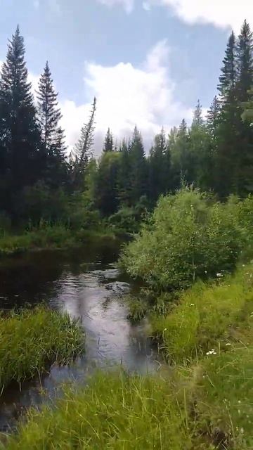 Райский сибирский уголок)) Таёжная речка) смотреть онлайн