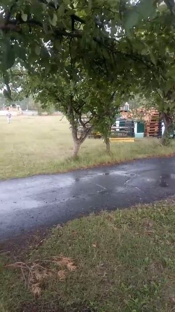 ПРАЗДНИК В ТЮМЕНИ смотреть онлайн