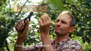 Местный рекламный блок (Первый канал (Владимир), 29.10.2023)