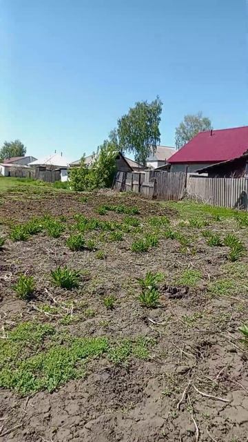 Бумеранг из фанеры #сделайсам #своимируками #творчес смотреть онлайн