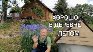 Лето в деревне. Готовим на костре, катаемся на лодке, гуляем по лесу, делаем заготовки на зиму