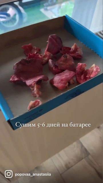 🍷 Этот напиток спасёт при отравлении! Запоминай реце?