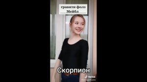 Знаки зодиака как мемы из тик ток #12