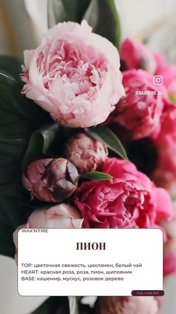 Аромамасла для свечей и диффузоров (inst:waxnfire) #аромамас? смотреть онлайн