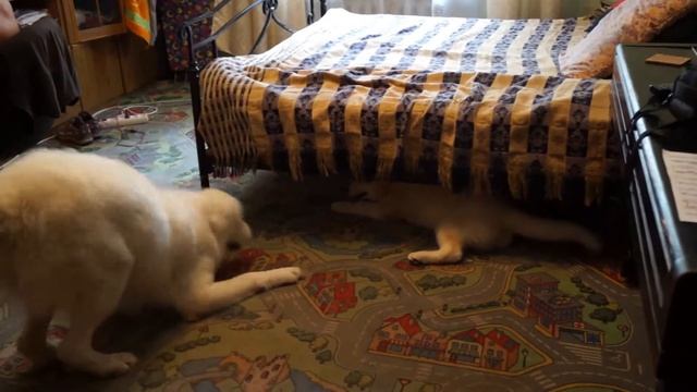 Чугуш и Апачи смотреть онлайн