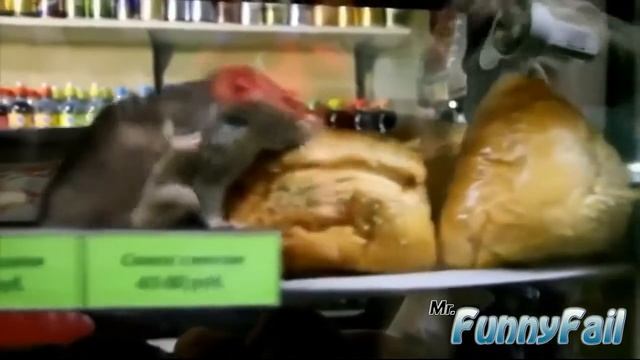 Подборка приколов с пьяными девушками!!! Ржач!!!! смотреть онлайн