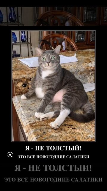 я не толстый смотреть онлайн