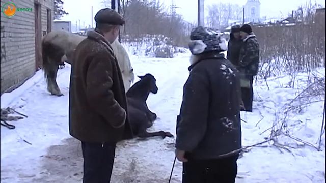 Люди события мнения 17 02 2017 смотреть онлайн