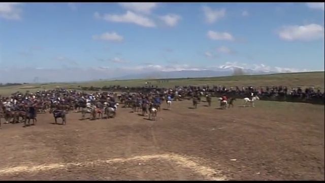 #horse Subhon Hoji ko'pkari смотреть онлайн