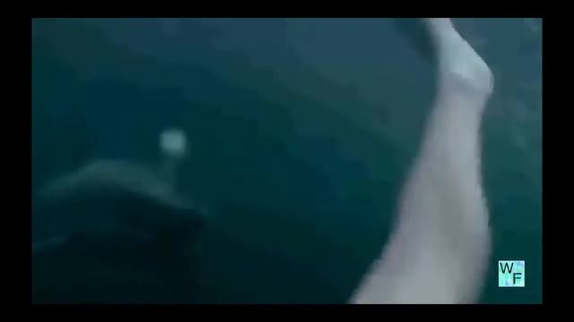 Неожиданная встреча девушки с акулой прикол Best Comedy / Funny videos 2016 смотреть онлайн