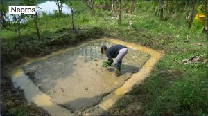 Дорис строит дом 14. Дорис садит водный шпинат, собирает и готовит улиток с кислыми побегами бамбука