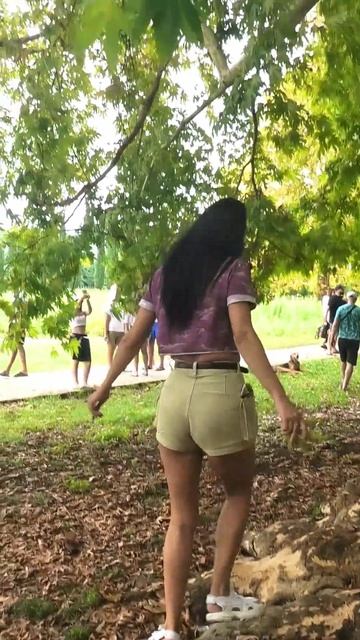 Древние ачандарские Платаны (600-860 летние). Ачандара, Гу смотреть онлайн