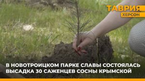 В парке Славы поселка Новотроицкое состоялась высадка 30 саженцев сосны крымской