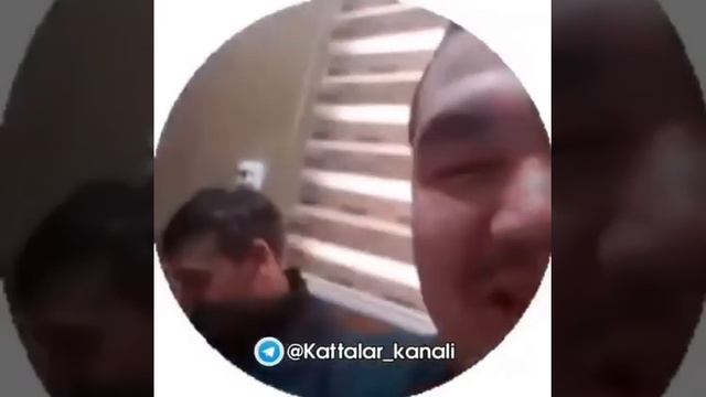 Янги приколлар смотреть онлайн