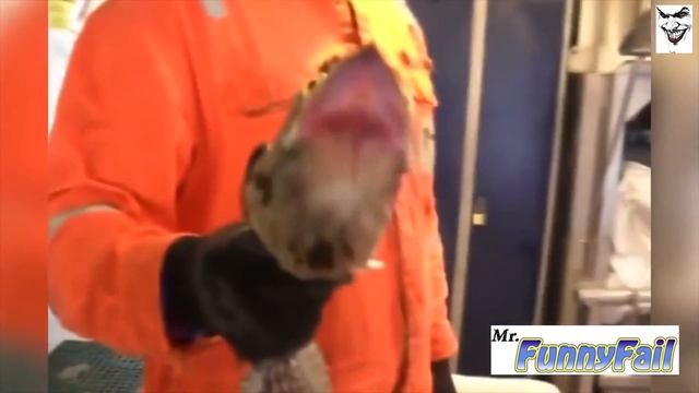 Приколы смотреть онлайн