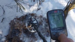 Minelab X- Terra Elite. Коп в зимнем лесу.