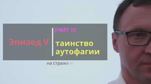 SKIN BIOLOGY: Эпизод 5. Таинство аутофагии. Часть 2.