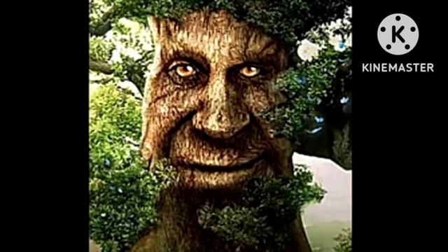 смешные картинки смотреть онлайн