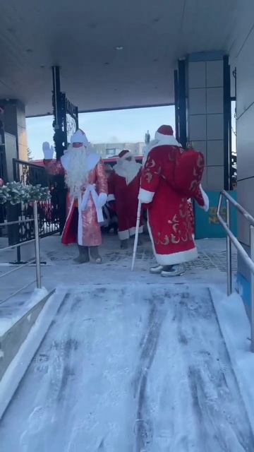 Деды морозы в новосибирском зоопарке!! #animals #shorts #живот