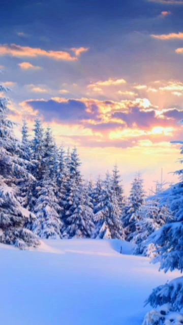 2 января 2025 год.... смотреть онлайн