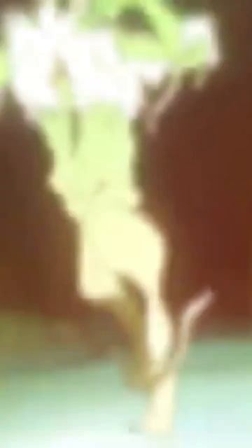 Человек бензопила едит @Ayutsuki. 4 декабря 2023 смотреть онлайн