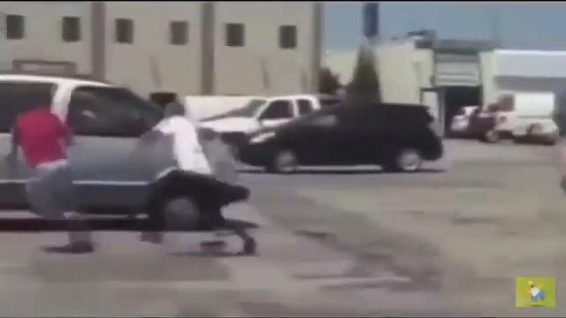 Прикольные люди смотреть онлайн