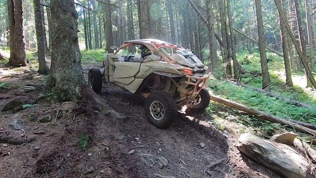 Карпаты. г.Хомяк водопад Гук.