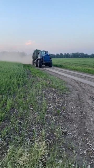 #farming #посевная #сельскоехозяйство #automobile #shorts смотреть онлайн