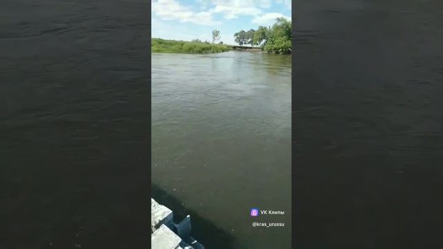 Dan Balan  Вера Брежнева: Лепестками слёзЮтазинскийРайон Татарстан summer җәй лето